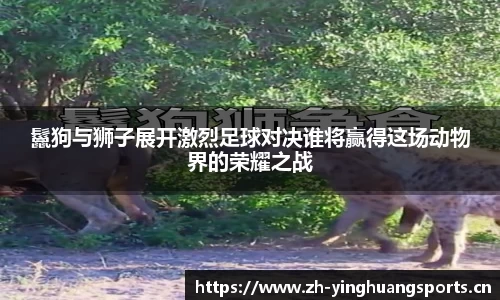 英皇体育平台