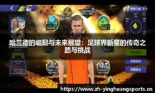 哈兰德的崛起与未来展望：足球界新星的传奇之路与挑战